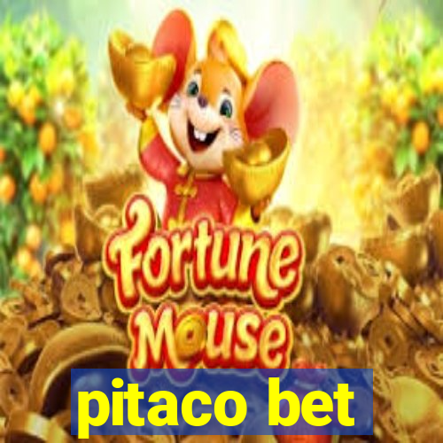 pitaco bet