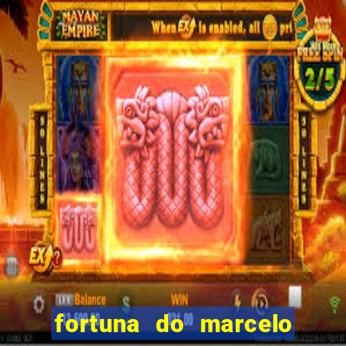 fortuna do marcelo do fluminense