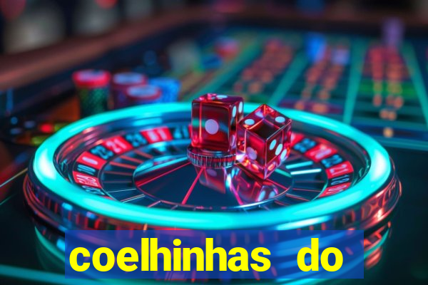 coelhinhas do brasil recife