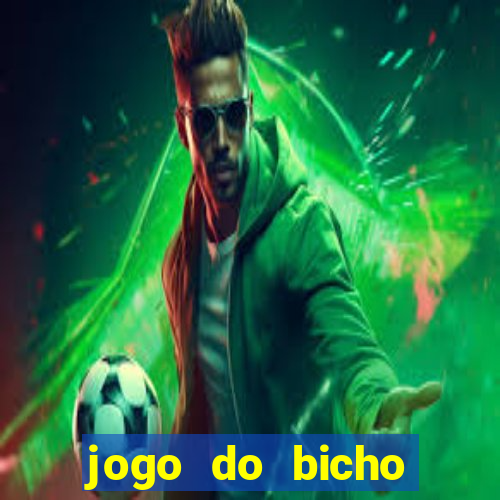 jogo do bicho crash bingo