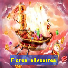 Flores silvestres brasileiras brasileiras flores silvestres nomes e imagens