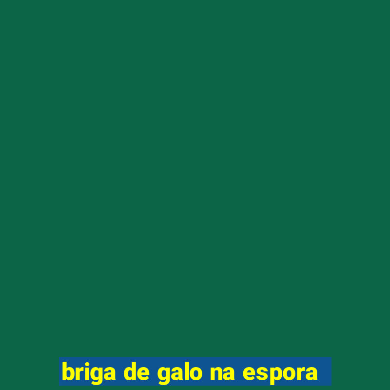 briga de galo na espora