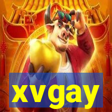 xvgay